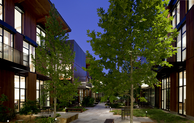 packard foundation courtyard